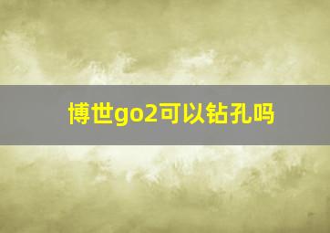 博世go2可以钻孔吗