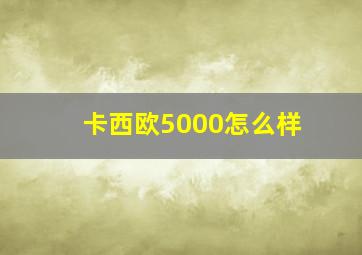 卡西欧5000怎么样