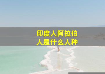 印度人阿拉伯人是什么人种