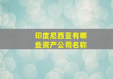 印度尼西亚有哪些资产公司名称