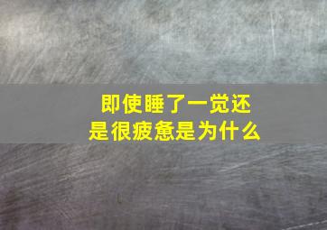 即使睡了一觉还是很疲惫是为什么