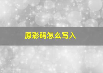 原彩码怎么写入