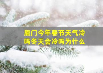 厦门今年春节天气冷吗冬天会冷吗为什么