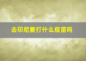 去印尼要打什么疫苗吗