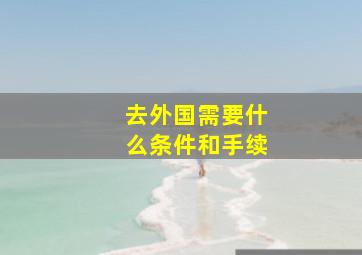 去外国需要什么条件和手续