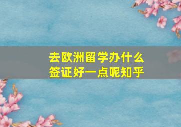 去欧洲留学办什么签证好一点呢知乎