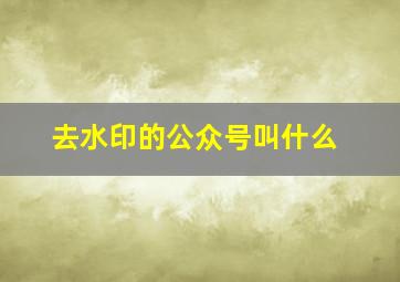 去水印的公众号叫什么