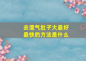 去湿气肚子大最好最快的方法是什么