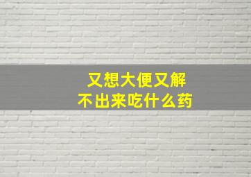 又想大便又解不出来吃什么药