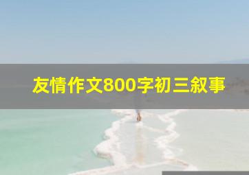 友情作文800字初三叙事