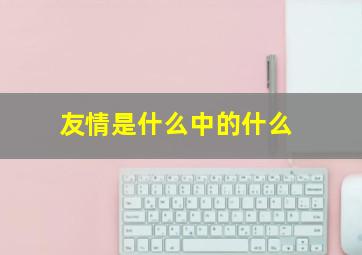 友情是什么中的什么