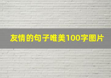 友情的句子唯美100字图片