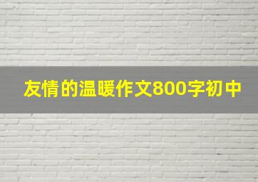 友情的温暖作文800字初中