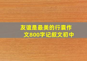 友谊是最美的行囊作文800字记叙文初中