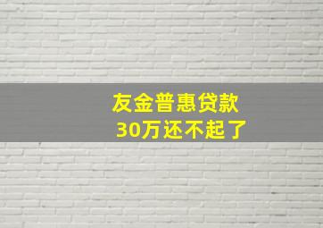 友金普惠贷款30万还不起了