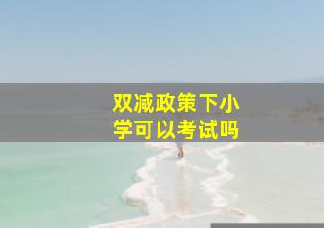 双减政策下小学可以考试吗