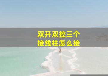 双开双控三个接线柱怎么接