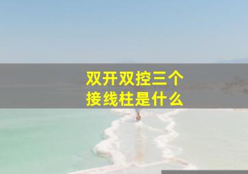 双开双控三个接线柱是什么