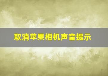 取消苹果相机声音提示