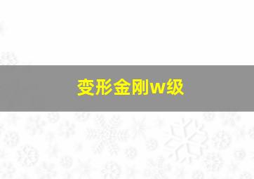 变形金刚w级