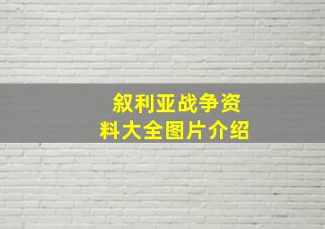 叙利亚战争资料大全图片介绍