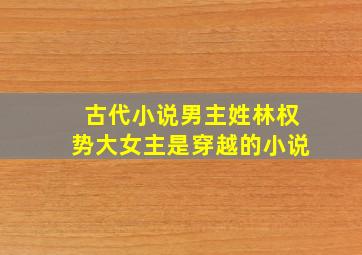 古代小说男主姓林权势大女主是穿越的小说