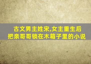 古文男主姓宋,女主重生后把亲哥哥锁在木箱子里的小说