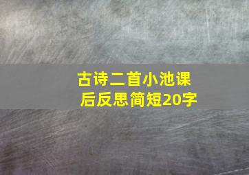 古诗二首小池课后反思简短20字