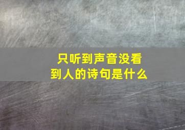 只听到声音没看到人的诗句是什么