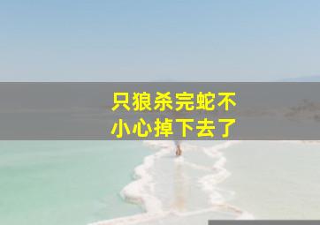 只狼杀完蛇不小心掉下去了