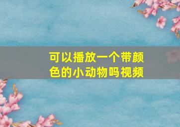 可以播放一个带颜色的小动物吗视频