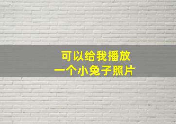 可以给我播放一个小兔子照片