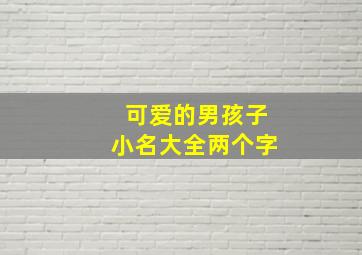 可爱的男孩子小名大全两个字