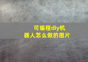 可编程diy机器人怎么做的图片