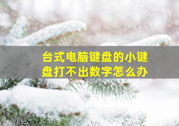 台式电脑键盘的小键盘打不出数字怎么办