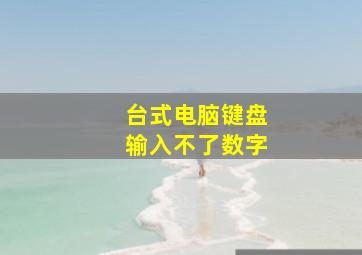 台式电脑键盘输入不了数字