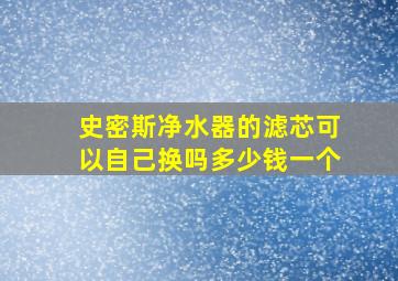 史密斯净水器的滤芯可以自己换吗多少钱一个