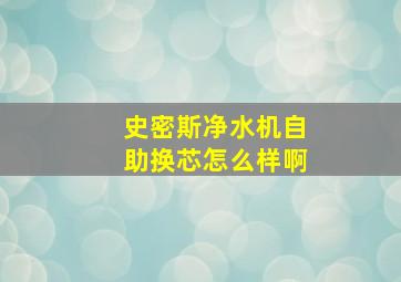 史密斯净水机自助换芯怎么样啊