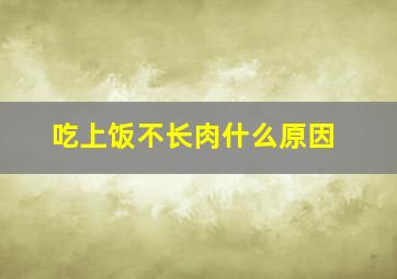 吃上饭不长肉什么原因