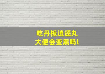 吃丹栀逍遥丸大便会变黑吗l