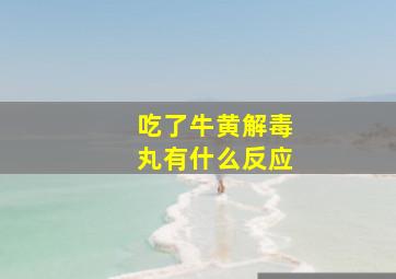 吃了牛黄解毒丸有什么反应