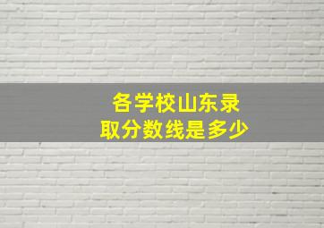 各学校山东录取分数线是多少