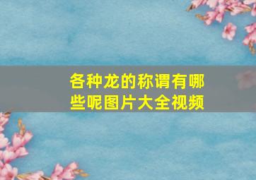 各种龙的称谓有哪些呢图片大全视频