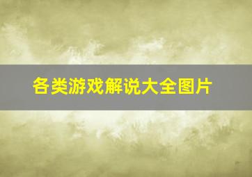 各类游戏解说大全图片