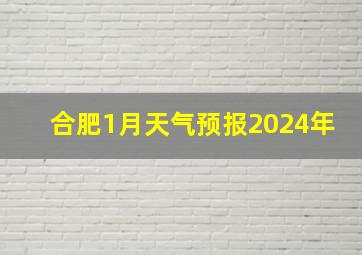 合肥1月天气预报2024年