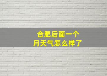 合肥后面一个月天气怎么样了