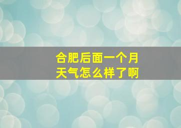 合肥后面一个月天气怎么样了啊