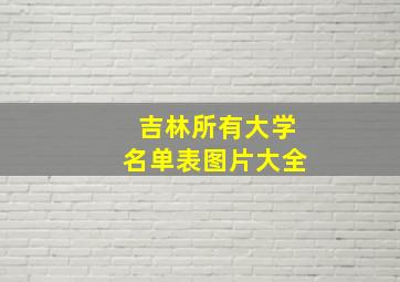 吉林所有大学名单表图片大全