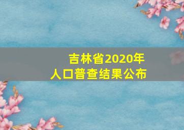 吉林省2020年人口普查结果公布