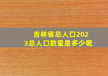 吉林省总人口2023总人口数量是多少呢